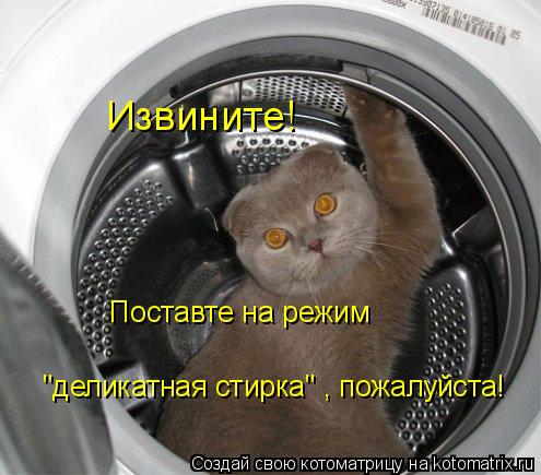 Котоматрица: Извините!  Поставте на режим деликатная стирка пожалуйста!   Поставте на режим   "деликатная стирка" , пожалуйста!