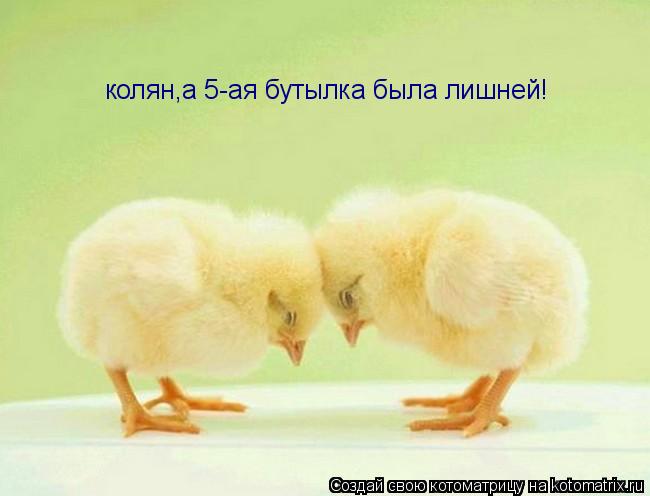 Котоматрица: колян,а 5-ая бутылка была лишней!