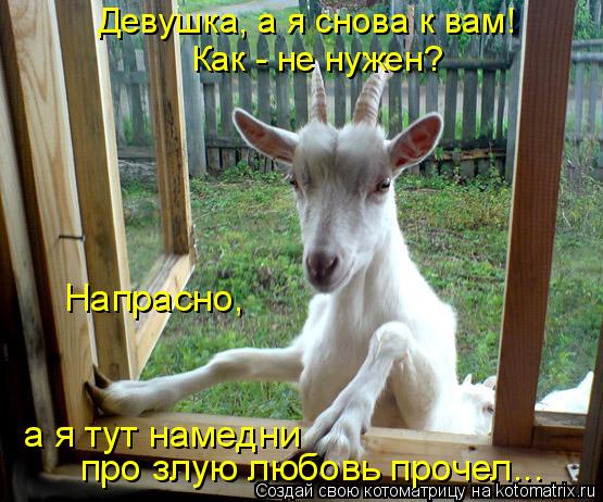 Девушка, а я снова к вам! Как - не нужен? про злую любовь прочел... Напрасно, а я тут намедни... Котоматрица: Девушка, а я снова к вам! Как - не нужен? про злую любовь прочел... Напрасно, а я тут намедни