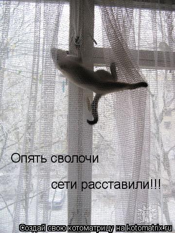 Котоматрица: Опять сволочи  сети расставили!!!