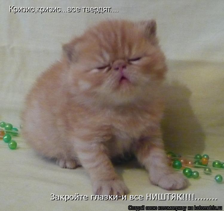 Кризис,кризис...все твердят.... Закройте глазки-и все НИШТЯК!!!!........... Котоматрица: Кризис,кризис...все твердят.... Закройте глазки-и все НИШТЯК!!!!........
