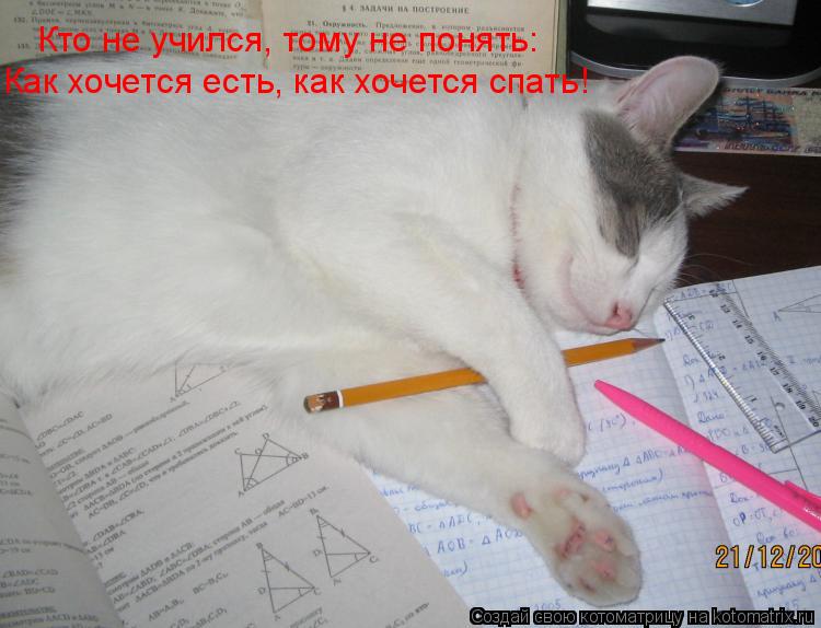 Кто не учился, тому не понять: Как хочется есть, как хочется спать!... Котоматрица: Кто не учился, тому не понять: Как хочется есть, как хочется спать!