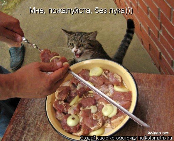 Мне, пожалуйста, без лука)))... Котоматрица: Мне, пожалуйста, без лука)))