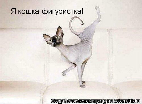 Котоматрица: Я кошка-фигуристка!