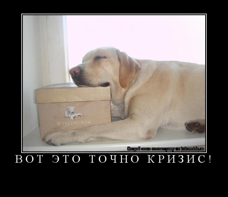 Вот это точно КРИЗИС! ... Котоматрица: Вот это точно КРИЗИС!