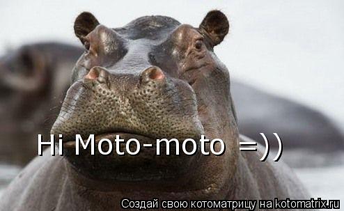 Котоматрица: Hi Moto-moto =))