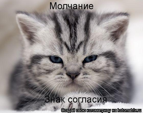 Знак согласия Молчание... Котоматрица: Знак согласия Молчание