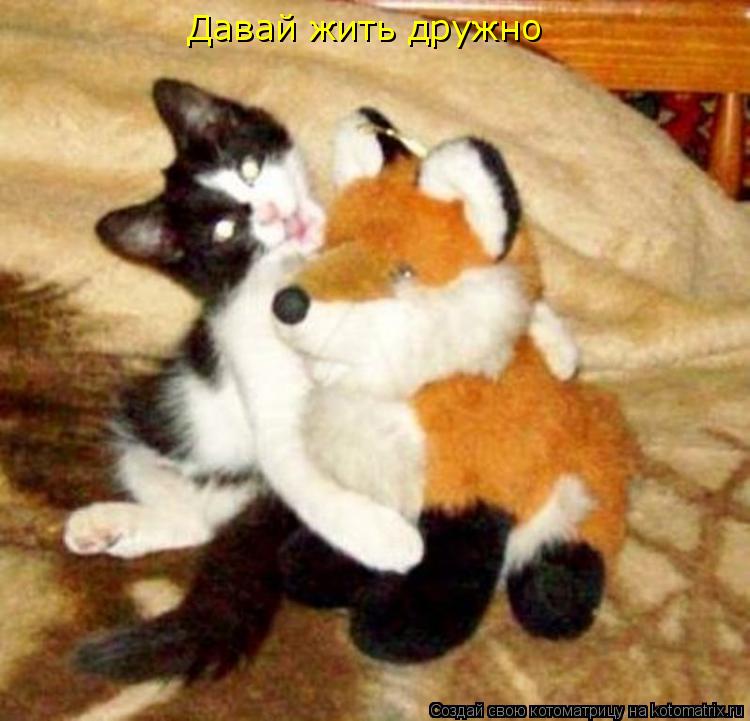 Давай жить дружно... Котоматрица: Давай жить дружно