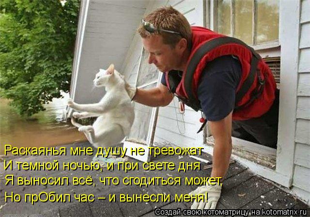 Раскаянья мне душу не тревожат И темной ночью, и при свете дня Я выносил всё, что сгодиться может, Но... Котоматрица: Раскаянья мне душу не тревожат И темной ночью, и при свете дня Я выносил всё, что сгодиться может, Но прОбил час – и вынесли меня!