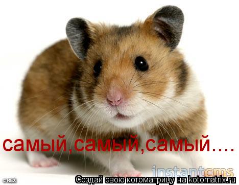Котоматрица: самый,самый,самый....