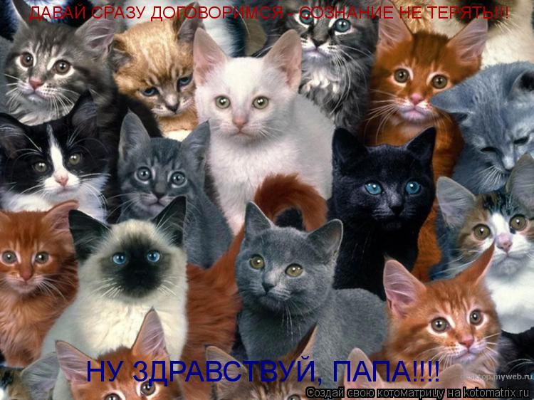 Котоматрица: ДАВАЙ СРАЗУ ДОГОВОРИМСЯ - СОЗНАНИЕ НЕ ТЕРЯТЬ!!! НУ ЗДРАВСТВУЙ, ПАПА!!!!