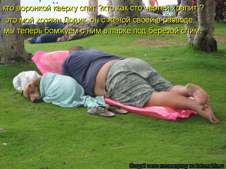 Котоматрица: кто воронкой кверху спит ?кто как сто чертей храпит ? это мой хозяин Додик ,он с женой своей в разводе. мы теперь бомжуем с ним,в парке под бер