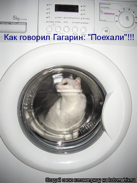Как говорил Гагарин: "Поехали"!!!... Котоматрица: Как говорил Гагарин: "Поехали"!!!