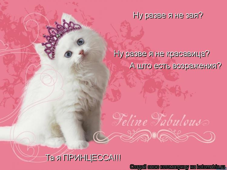 Котоматрица: Ну разве я не зая? Ну разве я не красавица? А што есть возражения? Та я ПРИНЦЕССА!!!