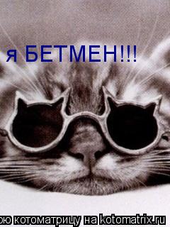 Котоматрица: я БЕТМЕН!!!