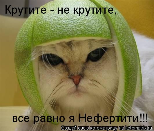 Крутите - не крутите, все равно я Нефертити!!!... Котоматрица: Крутите - не крутите, все равно я Нефертити!!!
