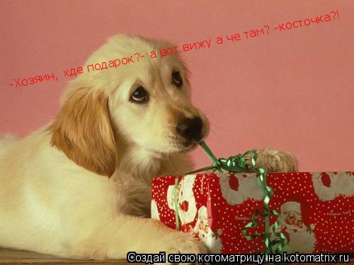 Котоматрица: -Хозяин, хде подарок?- а вот вижу а че там? -косточка?!