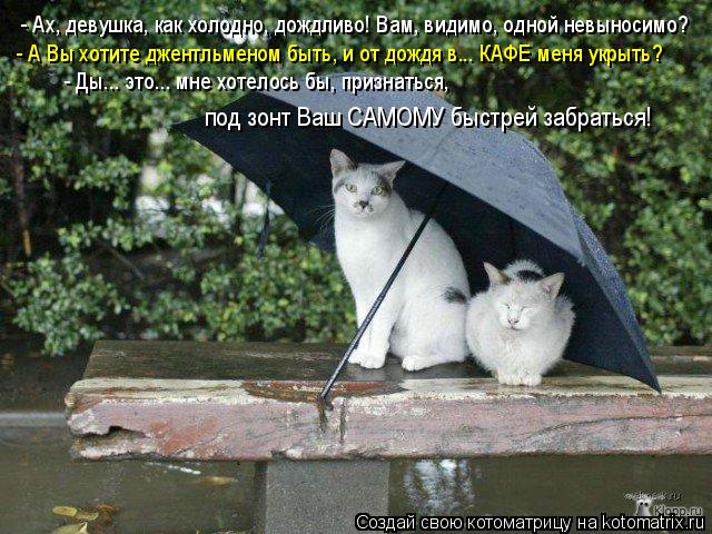 - Ах, девушка, как холодно, дождливо! Вам, видимо, одной невыносимо? - Ды... это... мне хотелось бы, ... Котоматрица: - Ах, девушка, как холодно, дождливо! Вам, видимо, одной невыносимо? - Ды... это... мне хотелось бы, признаться, - А Вы хотите джентльменом быть, и