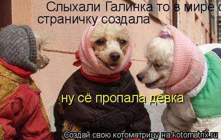 Слыхали Галинка то в мире страничку страничку создала ну сё пропала девка... Котоматрица: Слыхали Галинка то в мире страничку страничку создала ну сё пропала девка