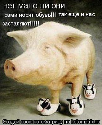 нет мало ли они сами носят обувь!!! так еще и нас засталяют!!!!!... Котоматрица: нет мало ли они сами носят обувь!!! так еще и нас засталяют!!!!!