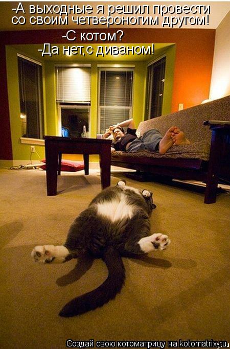 -С котом? -А выходные я решил провести со своим четвероногим другом! -Да нет,с диваном!... Котоматрица: -С котом? -А выходные я решил провести со своим четвероногим другом! -Да нет,с диваном!