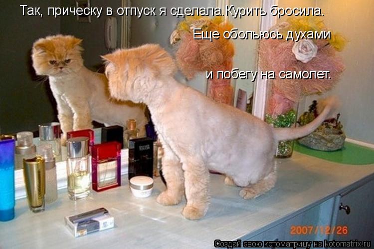 Котоматрица: Так, прическу в отпуск я сделала.Курить бросила. Еще обольюсь духами и побегу на самолет.
