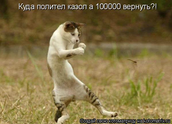Куда полител казол а 100000 вернуть?!... Котоматрица: Куда полител казол а 100000 вернуть?!