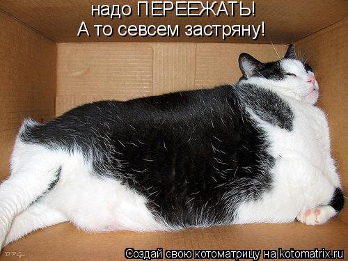 надо ПЕРЕЕЖАТЬ! А то севсем застряну!... Котоматрица: надо ПЕРЕЕЖАТЬ! А то севсем застряну!