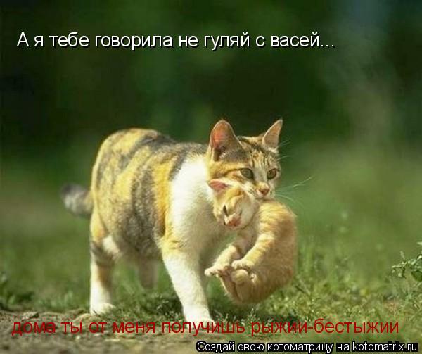 А я тебе говорила не гуляй с васей... дома ты от меня получишь рыжии-бестыжии... Котоматрица: А я тебе говорила не гуляй с васей... дома ты от меня получишь рыжии-бестыжии