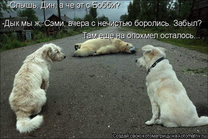 -Слышь, Дин, а че эт с Бобби? -Дык мы ж, Сэми, вчера с нечистью боролись. Забыл? Там еще на опохмел о... Котоматрица: -Слышь, Дин, а че эт с Бобби? -Дык мы ж, Сэми, вчера с нечистью боролись. Забыл? Там еще на опохмел осталось...