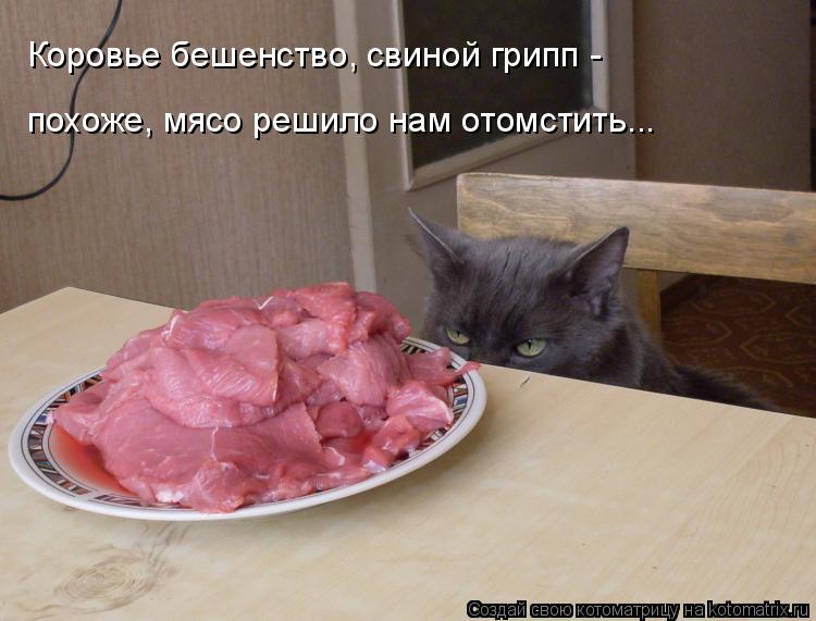 Котоматрица: Коровье бешенство, свиной грипп - похоже, мясо решило нам отомстить...