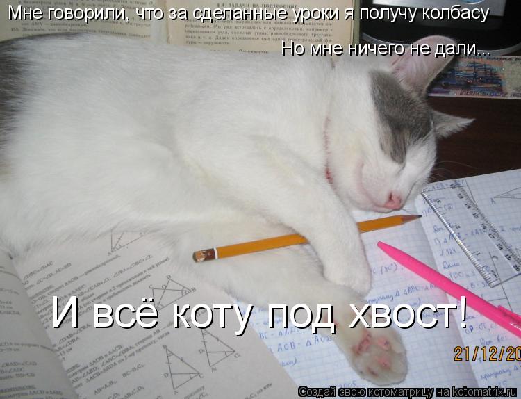 Мне говорили, что за сделанные уроки я получу колбасу Но мне ничего не дали... И всё коту под хвост!... Котоматрица: Мне говорили, что за сделанные уроки я получу колбасу Но мне ничего не дали... И всё коту под хвост!