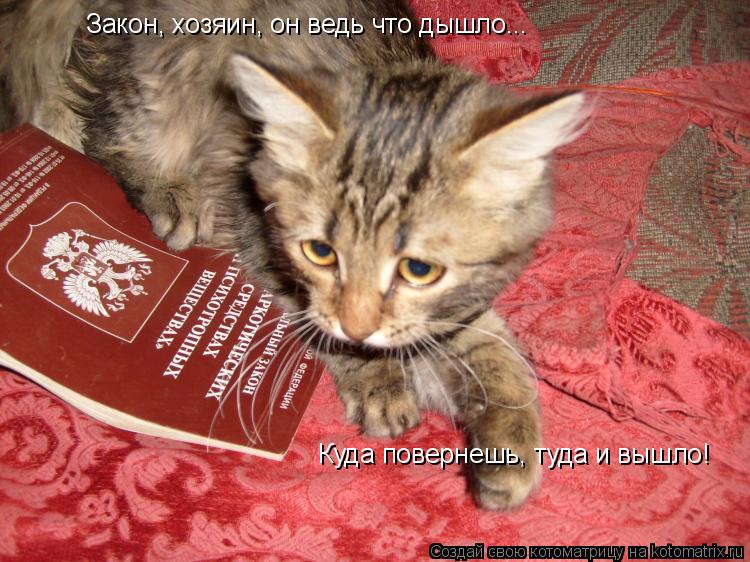 Котоматрица: Закон, хозяин, он ведь что дышло... Куда повернешь, туда и вышло!