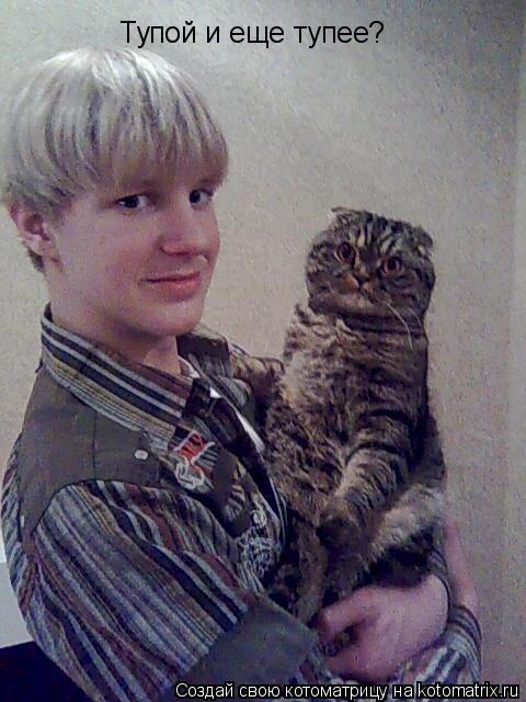 Котоматрица: Тупой и еще тупее?