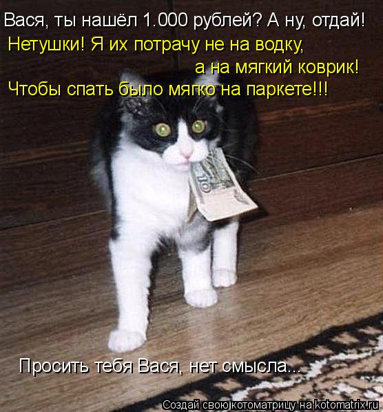 Котоматрица: Вася, ты нашёл 1.000 рублей? А ну, отдай! Нетушки! Я их потрачу не на водку,  а на мягкий коврик! Чтобы спать было мягко на паркете!!! Просить тебя В