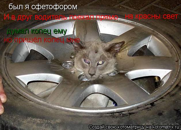 был я сфетофором И в друг водитель поехал прямо на красны свет думал копец ему но пришёл копец мне... Котоматрица: был я сфетофором И в друг водитель поехал прямо на красны свет думал копец ему но пришёл копец мне