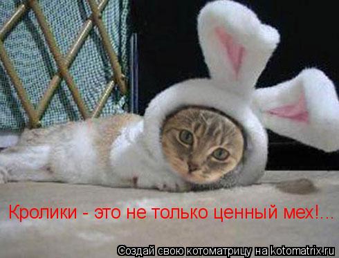 Котоматрица: Кролики - это не только ценный мех!...