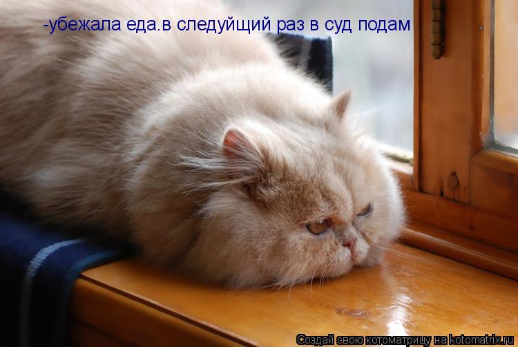 -убежала еда.в следуйщий раз в суд подам... Котоматрица: -убежала еда.в следуйщий раз в суд подам