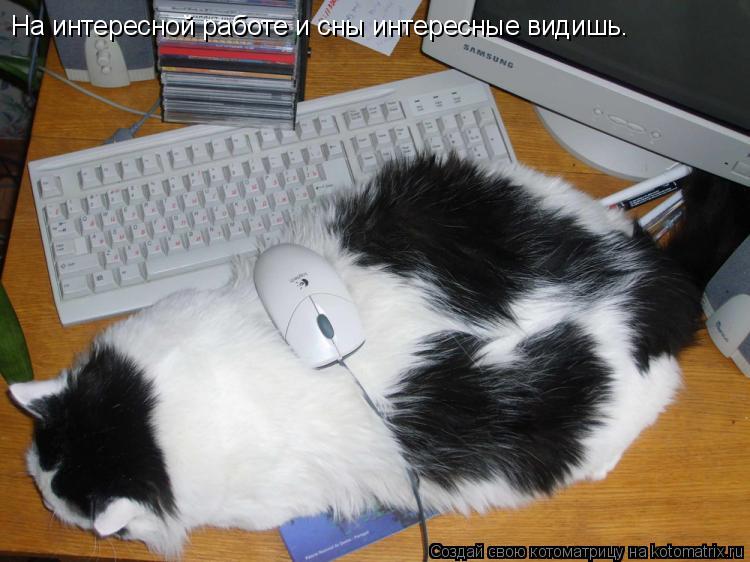 Котоматрица: На интересной работе и сны интересные видишь.