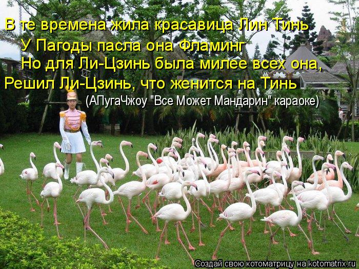 Котоматрица: У Пагоды пасла она Фламинг Но для Ли-Цзинь была милее всех она, Решил Ли-Цзинь, что женится на Тинь В те времена жила красавица Лин Тинь (АПуг
