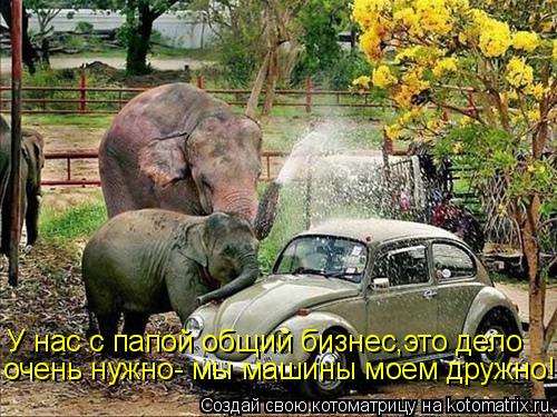 Котоматрица: У нас с папой общий бизнес,это дело очень нужно- мы машины моем дружно!