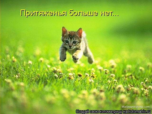 Котоматрица: Притяженья больше нет...