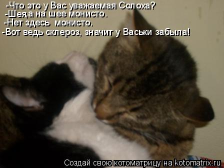 Котоматрица: -Что это у Вас уважаемая Солоха? -Шея ,а на шее монисто. -Нет здесь  монисто. -Вот ведь склероз, значит у Васьки забыла!
