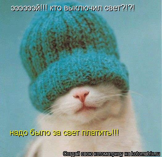 Котоматрица: ээээээй!!! кто выключил свет?!?! надо было за свет платить!!!