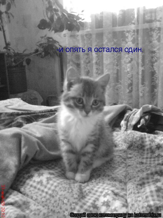 Котоматрица: -и опять я остался один.