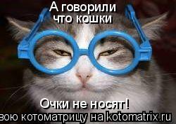Котоматрица: А говорили что кошки Очки не носят!
