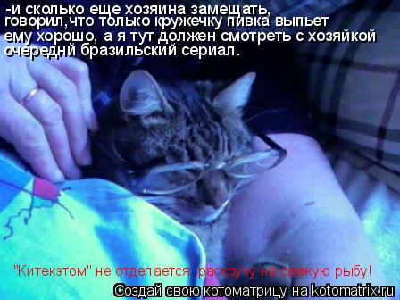 Котоматрица: -и сколько еще хозяина замещать, говорил,что только кружечку пивка выпьет ему хорошо, а я тут должен смотреть с хозяйкой очереднй бразильск