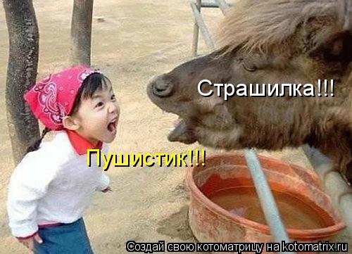 Котоматрица: Страшилка!!! Пушистик!!!