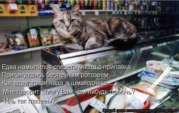 Едва намылился спереть мясца с прилавка, Прикинувшись беспечным ротозеем... Как вдруг такая,надо ж,шм... Котоматрица: Едва намылился спереть мясца с прилавка, Прикинувшись беспечным ротозеем... Как вдруг такая,надо ж,шмакодявка Мне говорит: "Могу Вам чем-ниб