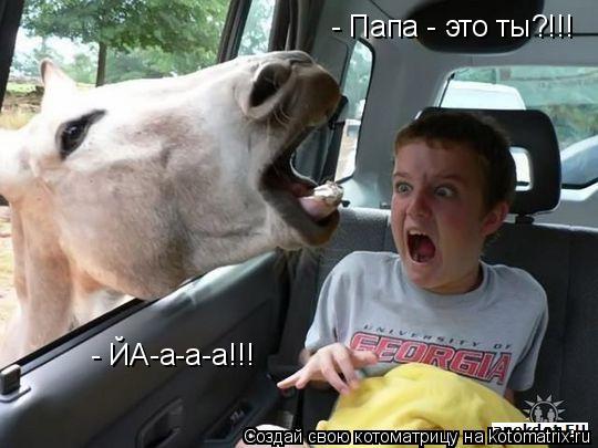 Котоматрица: - Папа - это ты?!!! - ЙА-а-а-а!!!